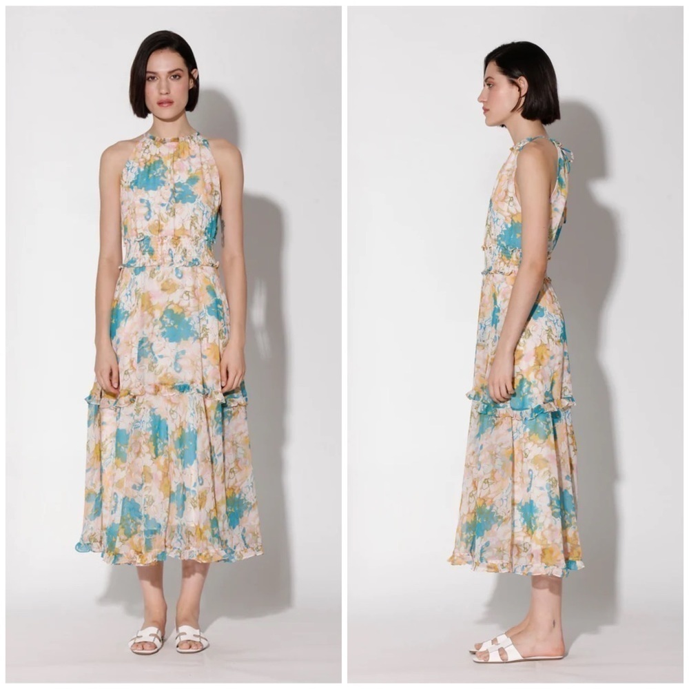 WALTER BAKER Wynn Maxi Dress in Water Lillies S